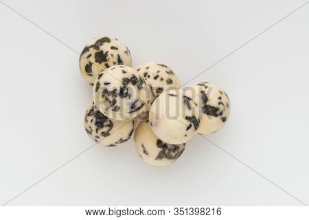 Kurt On A White Background