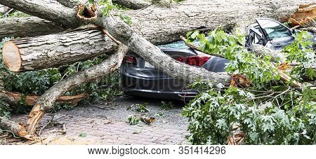 A Large Tree Falls From A Wind Storm And Lands On A Car Parked In A Driveway In A Residential Neighb