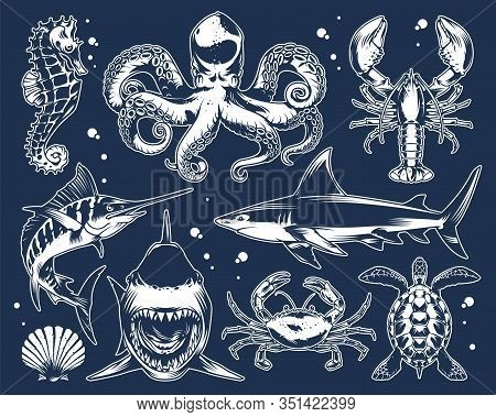 Vintage Marine Life Composition With Shark Crab Lobster Marlin Poulpe Seashell Turtle Seahorse In Mo