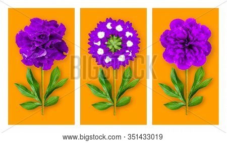 Three Offbeat Flowers On An Orange Background. Composition Of Purple Petunias, Verbena And Peony Wit