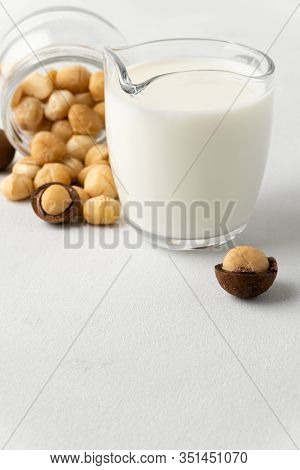 Dairy Products Without Lactose. Scattered Macadamia Nuts On A Light Gray Surface And Macadamia Milk 