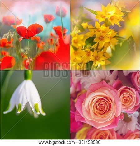 Different flowers collection.Spring theme set.