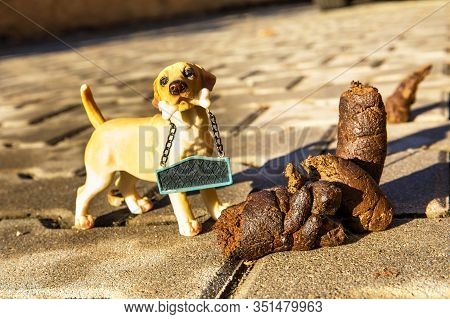 Excrement Dog On Floor. Shit On The Street. Shit Of Dog On The Street Pavement. Concept Of Picking U