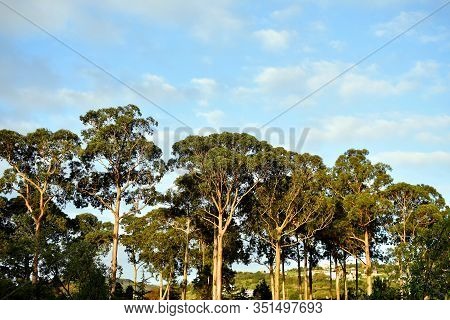 Jose Antonio Pernas Peon Park In The City Of Viveiro, Lugo, Galicia. Spain. Europe. September 30, 20