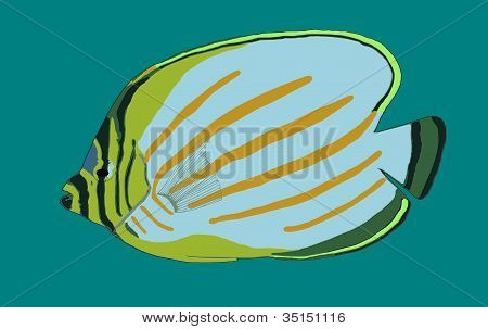 Ilustrace zdobené Butterflyfish