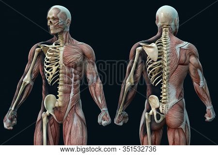 Anatomical And Conceptual Vision Of Local Disease Points In Joints In Humans. 3d Illustration