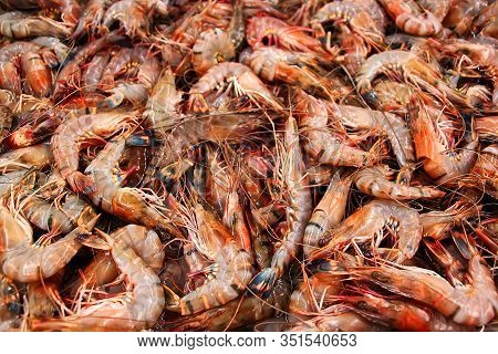 Boiled Freshwater Red Shrimp Sold At Phnom Penh Market, Cambodia.