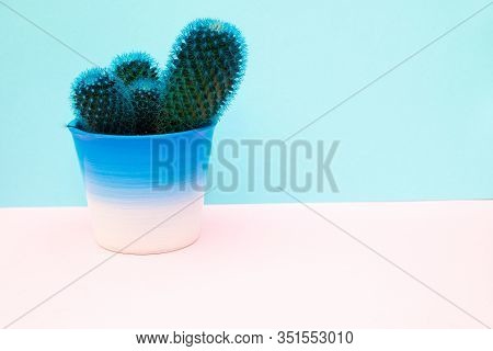 Little Turquoise Cactus On A Blue Marble Background. Copy Space. Houseplants Concept.