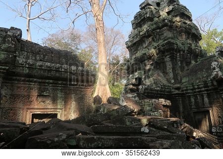 Tree Between Broken, Rubble, Rocks, In Ancient Khmer City Angkor Wat, Cambodia, Asia, Old, Religon, 