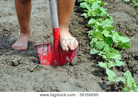 piedi KIF sopra una pala in giardino