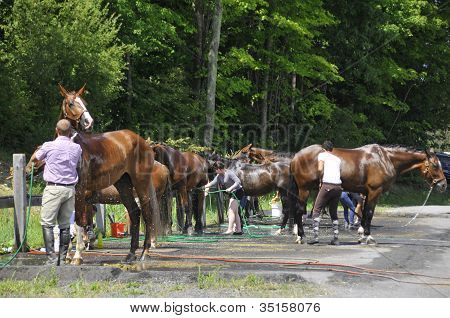 BROMONT INTERNACIONAL