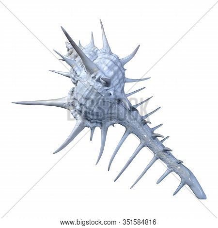 3D Rendering Sea Shell On White