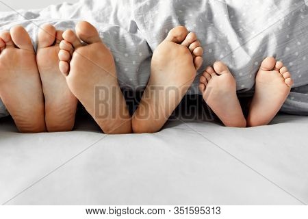 A Young Family, A Family Wakes Up In The Morning,feet On The Bed,healthy Legs Of A Young Family,fami