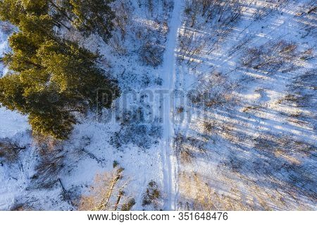 Top Down View Of The Forest In Winter. Winter Landscape In The Forest. Flying Over Winter Fir Forest