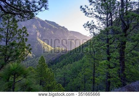 Scenic View On Caldera De Taburiente With Green Pine Forest, Ravines And Rocky Mountains Near Viewpo