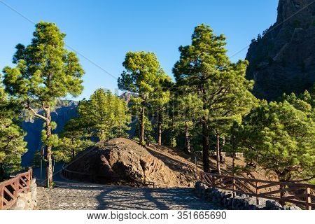 Scenic View On Caldera De Taburiente With Green Pine Forest, Ravines And Rocky Mountains Near Viewpo