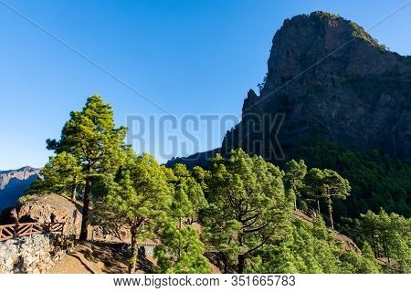 Scenic View On Caldera De Taburiente With Green Pine Forest, Ravines And Rocky Mountains Near Viewpo