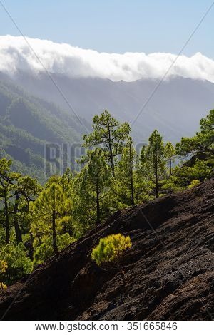 Cloud Waterfall Phenomenon At La Palma Island, Spain Near Viewpoint Cumbrecita In Caldera De Taburie