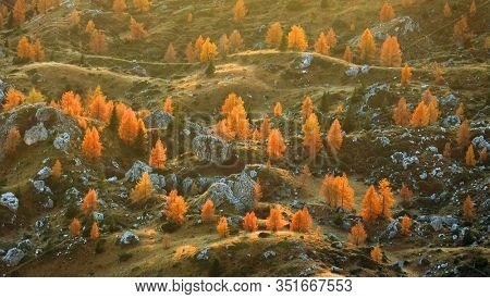 Autumn sunrise scenery with yellow larches in Alpe di Siusi (Seiser Alm) Dolomites, Italy, Europe