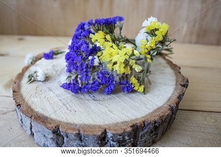 Blue Daisy Flower. Flower In Garden At Sunny Summer Or Spring Day. Flower For Postcard Beauty Decora