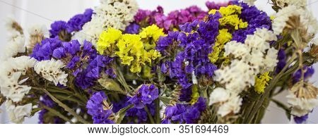 Blue Daisy Flower. Flower In Garden At Sunny Summer Or Spring Day. Flower For Postcard Beauty Decora
