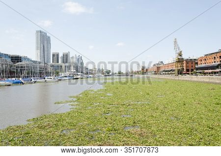 Capital Federal, Buenos Aires/ Argentina; Jan 23, 2016: Unusual View Of Puerto Madero: Water Surface