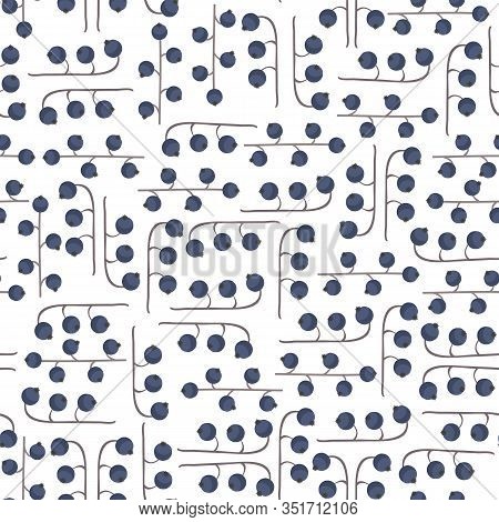 Vector Black Currant Berries Seamless Pattern Print Background.