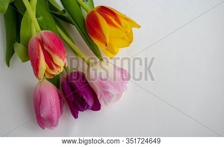 Fresh Colorful Tulip Flowers Bouquet On Shelf In Front Of Wooden Wall. View With Copy Space
