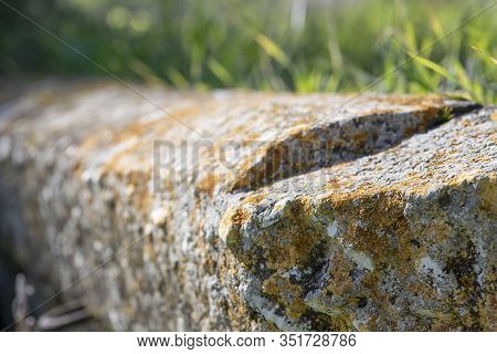 Concrete Beam Covered With Multi-colored Lichen Lying In The Grass