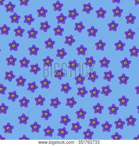 Seamless Repeat Pattern With Flowers In Violet On Light Blue Background. Drawn Fabric, Gift Wrap, Wa
