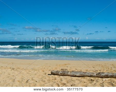 Driftwood na Kauai Beach