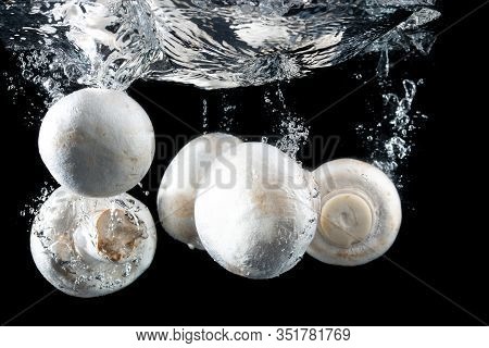 Mushrooms, Champignons Isolated On Black Background, Dropped Into Water With Splash. Healthy Food Ba