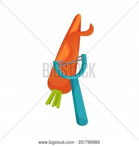 Process Of Peeling Carrot With Paring Knife Vector Illustration