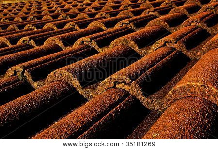 Tiles