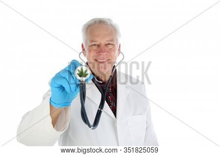 Marijuana Doctor. Cannabis Doctor. A Marijuana Doctor holds his Stethoscope with a Marijuana Leaf symbol on the face. Isolated on white. Room for text. Clipping Path. Marijuana is legal in many areas 