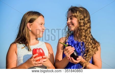 Kids Hold Vegetables Sky Background. Healthy Homegrown Food Concept. Eat Healthy. Summer Harvest Con