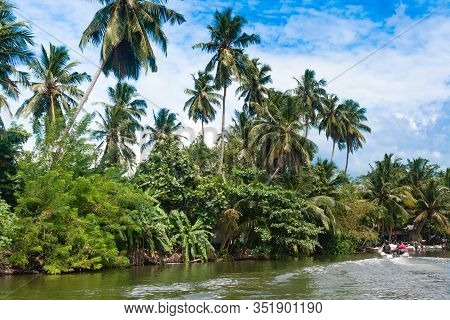 Madu River Safari, Beautiful Tropical Riverbank. Beautiful Palm Trees Against The Sky With Colorful 
