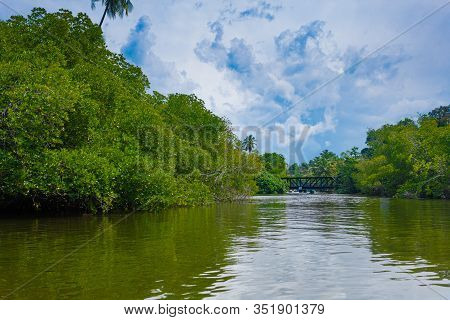 Madu River Safari, Beautiful Tropical Riverbank. Very Beautiful Blue Sky. Small Bridge. Balapitiya, 