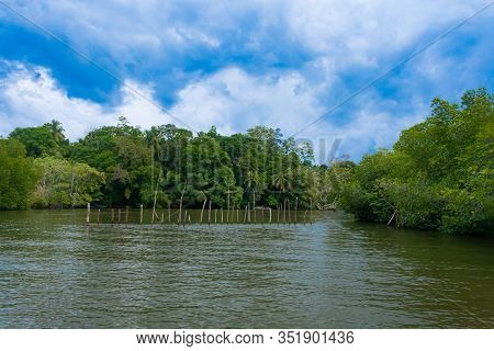 Madu River Safari, Beautiful Tropical Riverbank. Very Beautiful Blue Sky.  Balapitiya, Sri Lanka