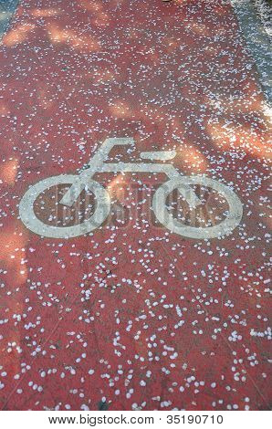 Bicycle Lane sign