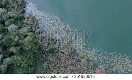 Large Lake On A Cloudy Day Against The Background Of A Dense Green Forest, Nature In Russia
