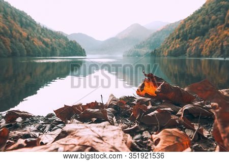 Ritsa Lake In Abkhazia Dry Orange Leaf Mountains Landscape Forest Travel