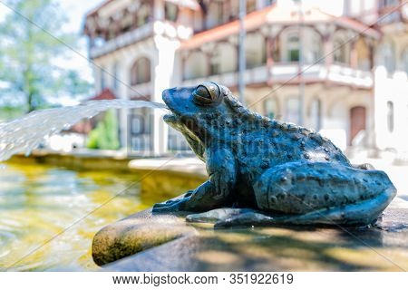 Sculpture Of A Frog By The Fountain - The Spa House 