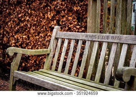 11 January 2020, Leiden, Netherlands, Wooden Bench In The Botanical Garden, Founded Around 1590