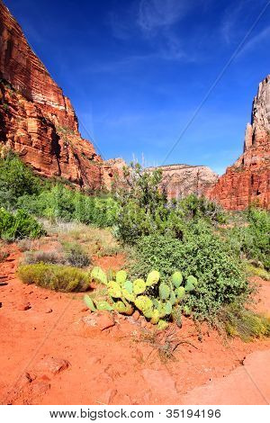 Kayenta iz Zion National Park