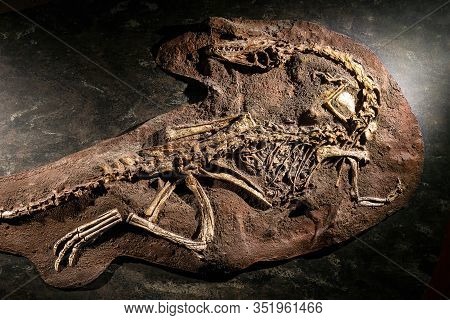 London, United Kingdom - 7 October 2019: Mysterious Fossil Of A Dinosaur Buried In The Sand Wall In 