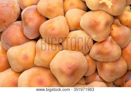 Hypholoma Fasciculare Caps Group In The Forest