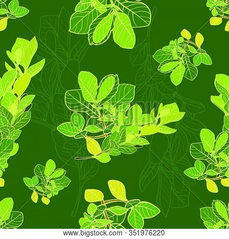 Nature Seamless Pattern Of Green Colors Tone Foliage Natural Branches, Green Leaves. Hand Draw Verto