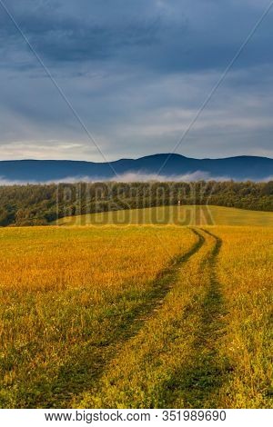 Morning fog under Vihorlat, Slovakia