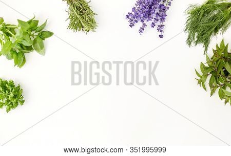 gardening, ethnoscience and organic concept - bunches of greens, spices or medicinal herbs on white background